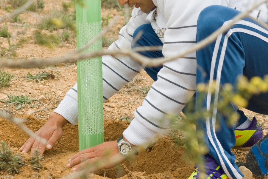 Los menores del centro ‘Els Reiets’ de Alicante participan en la reforestación del Clot de Galvany