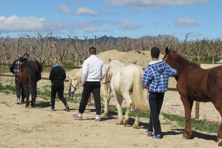 Los menores del centro ‘La Zarza’ de Abanilla (Murcia) participan en una actividad de zooterapia con caballos