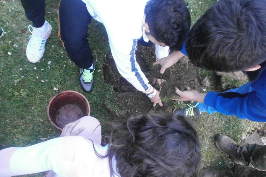 Los jóvenes del Centro Socioeducativo Juvenil de Cantabria celebran el Día del Árbol con una actividad medioambiental