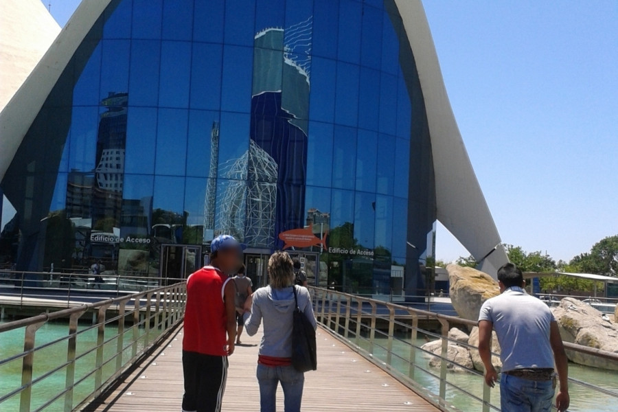 Los menores del hogar de acogida ‘Anassim’ de Paterna visitan el Oceanográfico de Valencia