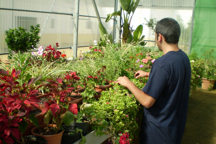 Comienza la formación en jardinería de la Casa de Oficios del centro ‘Los Alcores’ de Carmona (Sevilla)