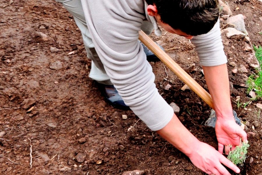 Fundación Diagrama desarrolla un proyecto de voluntariado medioambiental en Sax (Alicante) dirigido a menores y jóvenes de la provincia