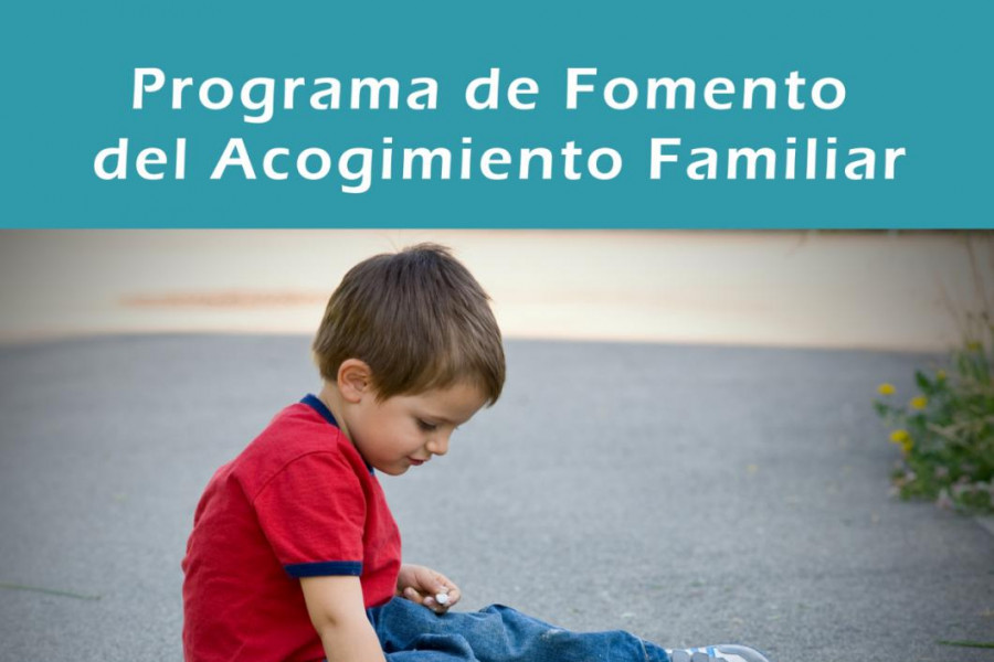 Programa de Fomento del Acogimiento Familiar. Fundación Diagrama.