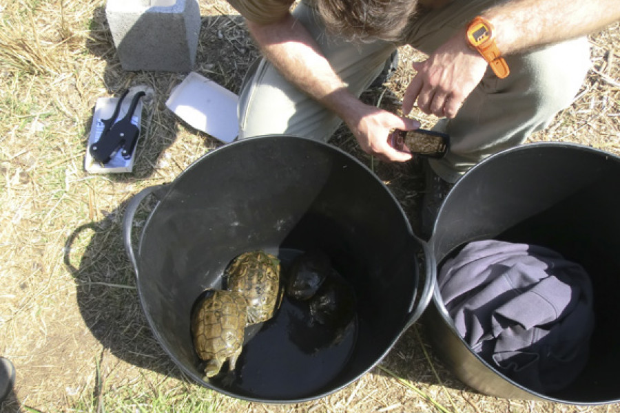 Actividad de voluntariado medioambiental con tortugas. Menores del centro 'Pi i Margall' de Burjassot. Fundación Diagrama.