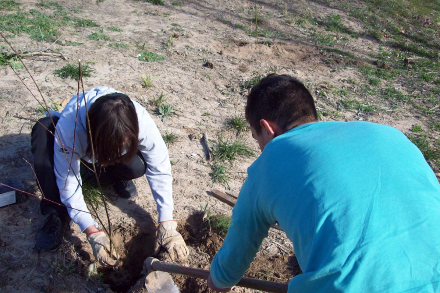 Los menores del centro de reeducación ‘Pi i Margall’ de Burjassot participan en una actividad de voluntariado medioambiental en el río Júcar. Fundación Diagrama. Comunidad Valenciana 2018.