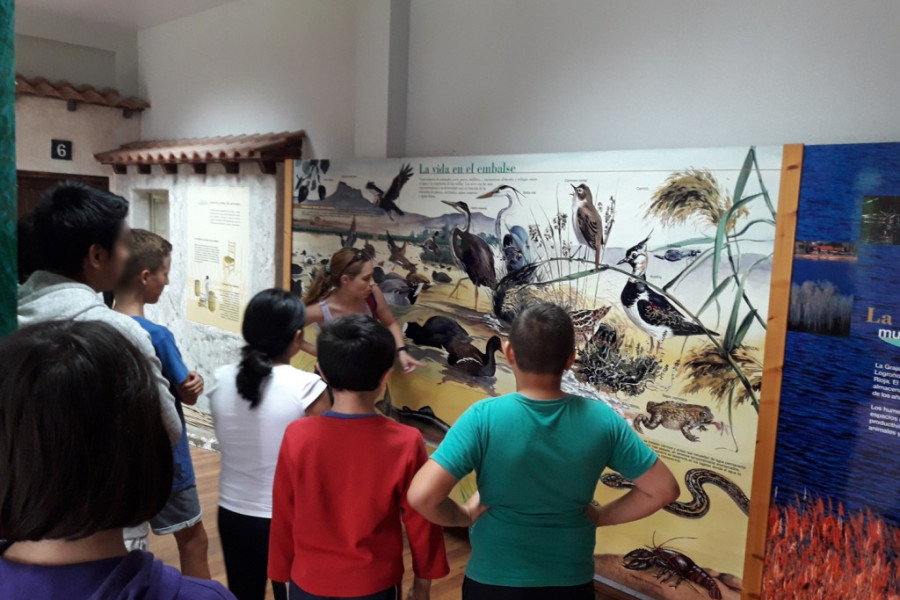 Actividades medioambientales y culturales durante el verano 2017. Centro 'La Cometa'. Fundación Diagrama. 