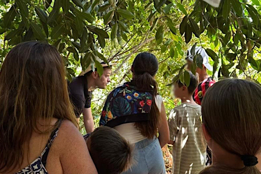 Un monitor explica a los chicos y chicas el cultivo del café