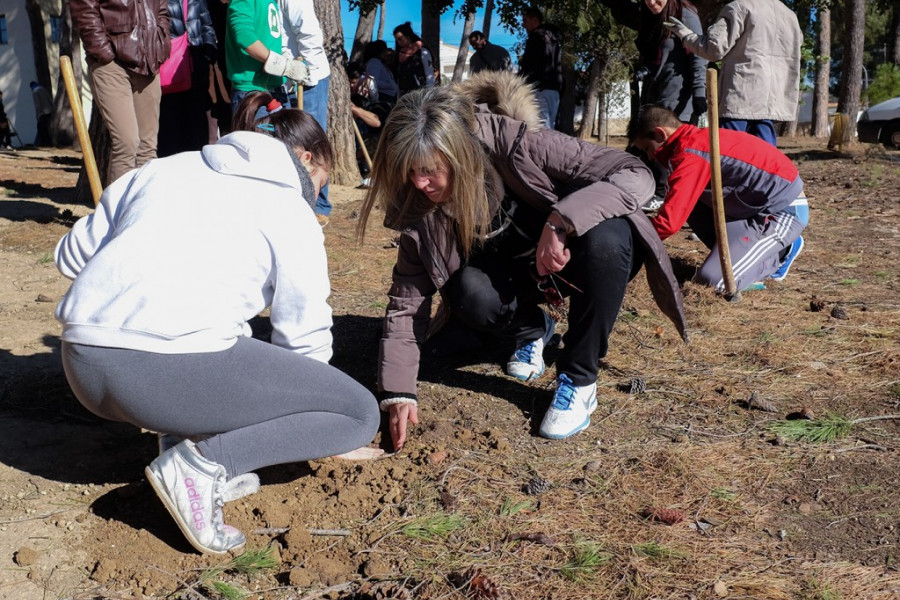 Los menores de los centros ‘Pi i Margall’, ‘Pi Gros’ y ‘Mariano Ribera’ participan en la reforestación de Alborache (Valencia)