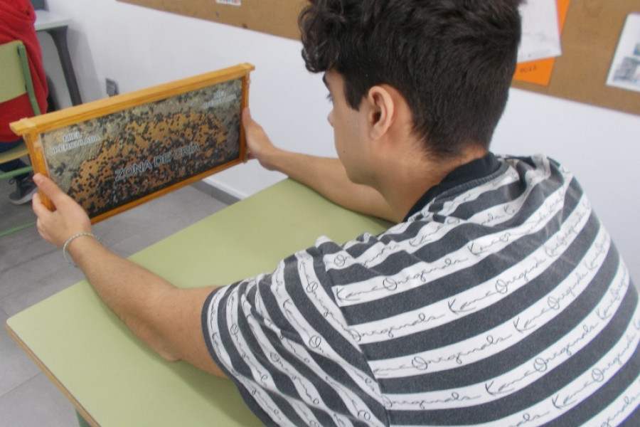 La apicultura tradicional protagoniza un nuevo taller formativo en el centro ‘Montefiz’ de Ourense. Fundación Diagrama. Galicia 2022.
