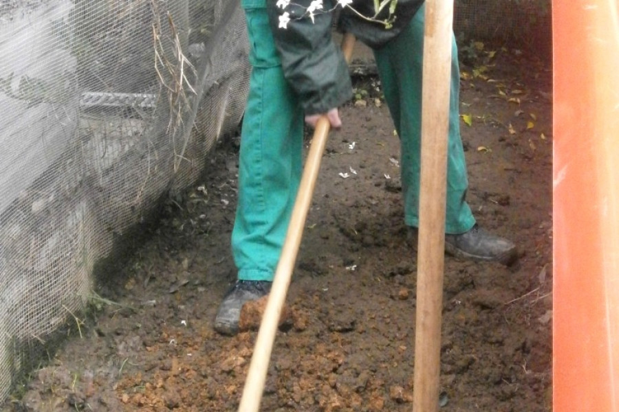 Actividad medioambiental Día del Árbol. Centro Socioeducativo Juvenil de Cantabria. Fundación Diagrama.