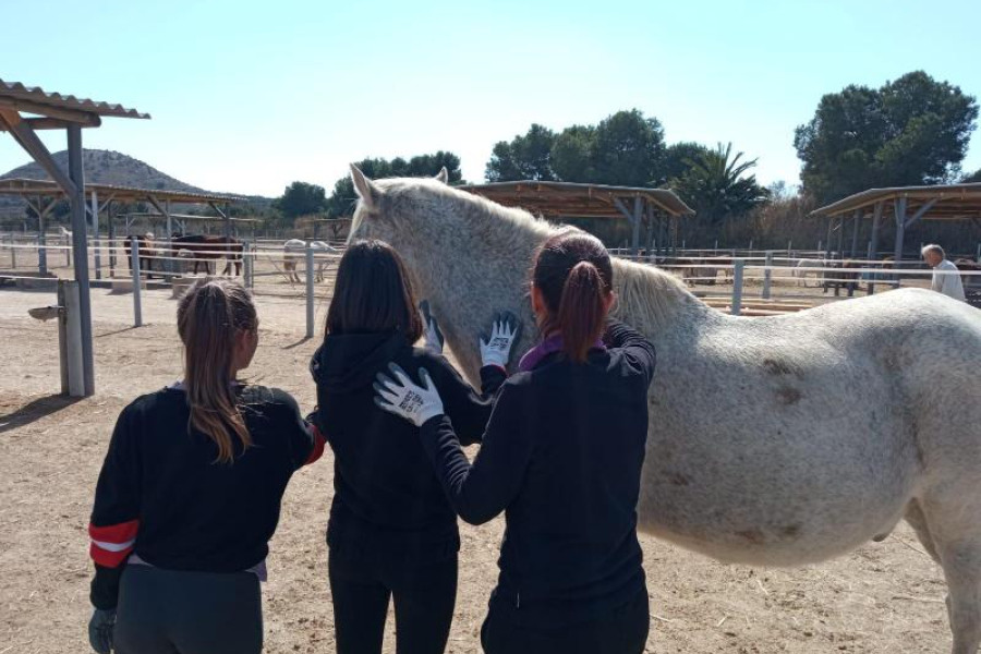 Jóvenes menores de la residencia de acogida ‘Lucentum’ realizan actividades terapéuticas con caballos rescatados