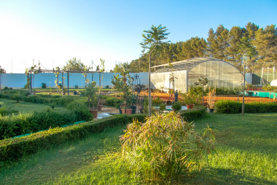 Un grupo de jóvenes del centro ‘Los Alcores’ en Carmona (Sevilla) finalizan su formación en jardinería en la Casa de Oficio