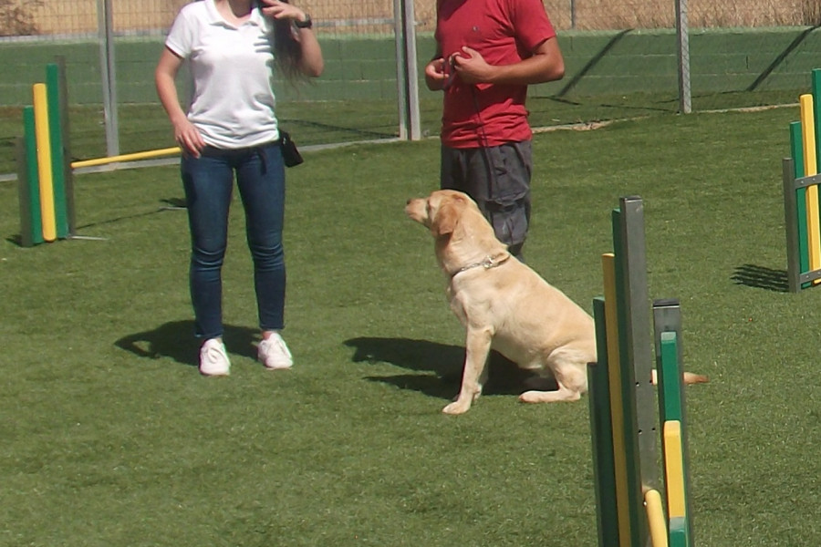 Menores del centro ‘La Cañada’ participan en actividades con animales