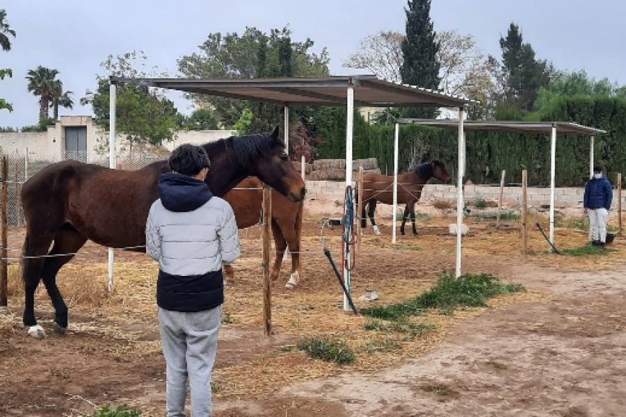 El Centro Ecuestre Mutxamel recibe la visita de los jóvenes atendidos en el Hogar ‘La Magrana’ de Alicante 