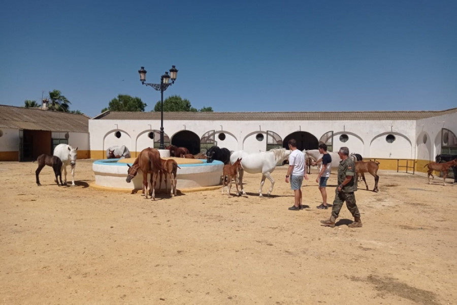 El Centro Militar de Cría Caballar de Écija recibe la visita de los menores atendidos en ‘El Limonar’ de Alcalá de Guadaíra (Sevilla). Fundación Diagrama. Andalucía 2022.