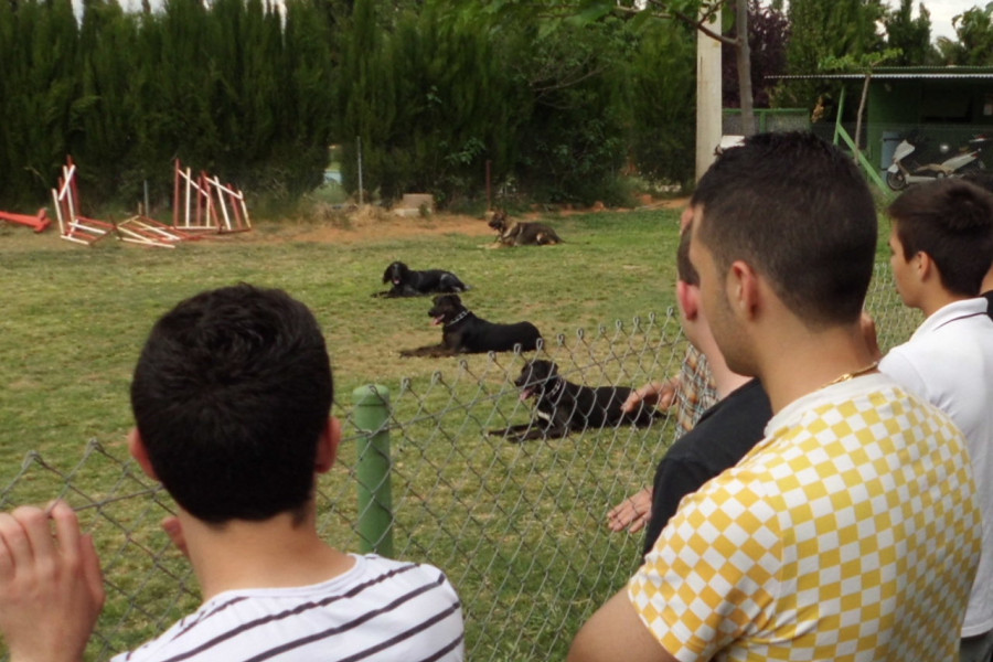 La Protectora de Animales de Castellón imparte un sesión de sensibilización a los menores del Centro ‘Pi Gros’ de esta provincia