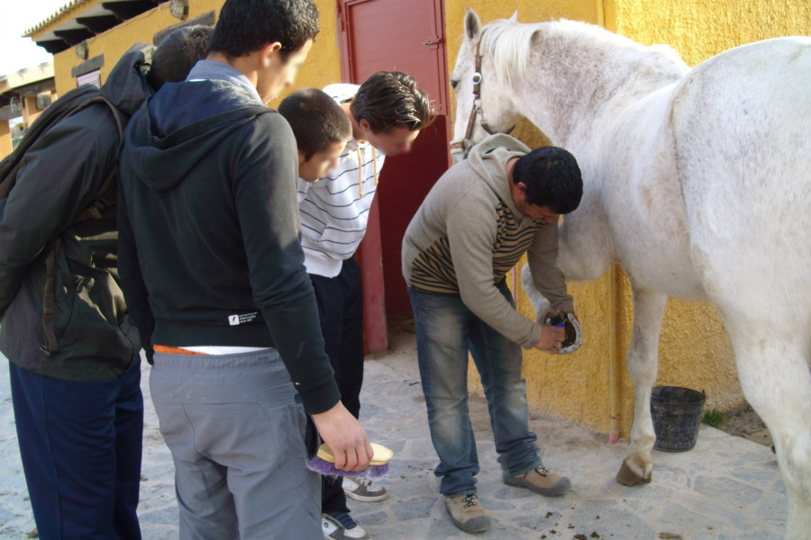 Menores del Centro de Reeducación ‘Els Reiets’ aprenden el cuidado de los caballos durante una visita al Club de Hípica ‘Los Establos’