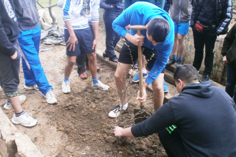 Los jóvenes del Centro Socioeducativo Juvenil de Cantabria celebran el Día del Árbol con diversas actividades medioambientales