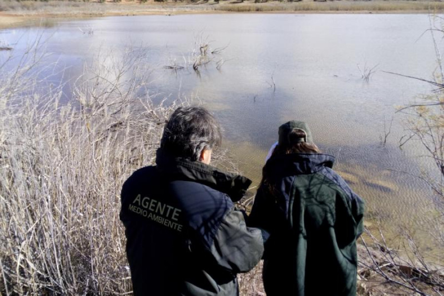 El Día Mundial de los Humedales enmarca un conjunto de actividades medioambientales desarrolladas en el centro ‘Las Lagunillas’ de Jaén