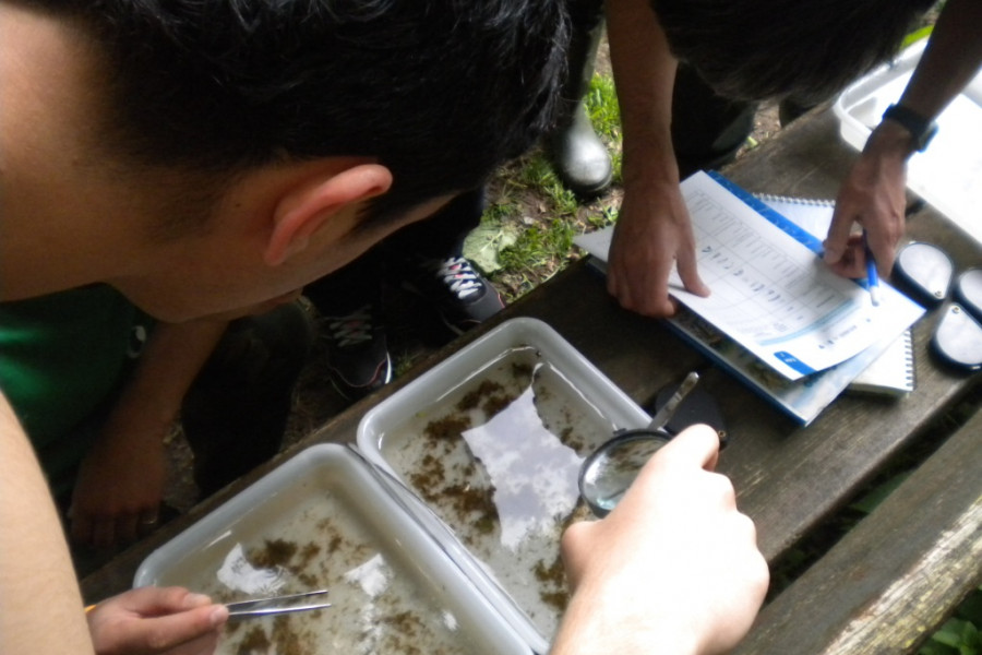 Los menores del Centro Socioeducativo Juvenil de Cantabria participan como voluntarios en una actividad medioambiental en el río Miera