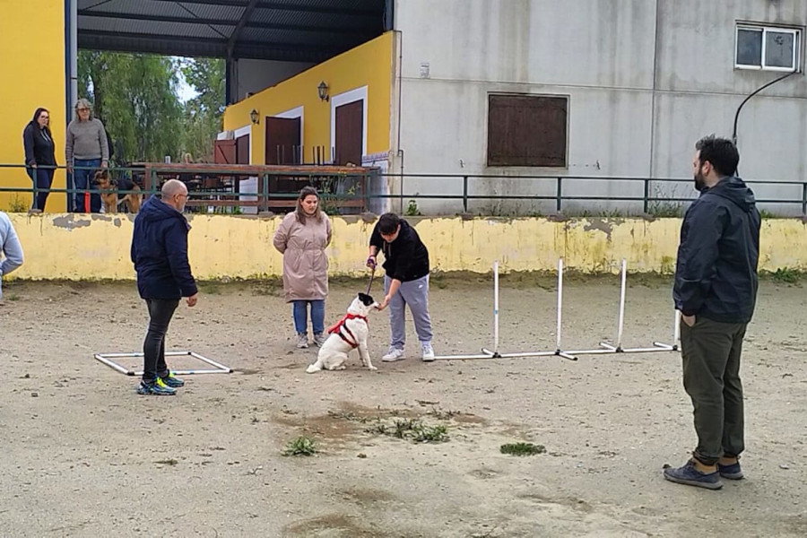 Exhibición adiestramiento canino Fundación Centauro Quirón a jóvenes centro 'Las Moreras'