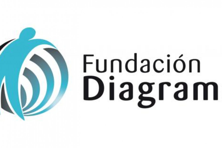 Plazas de voluntariado 2017. Fundación Diagrama. Logo.