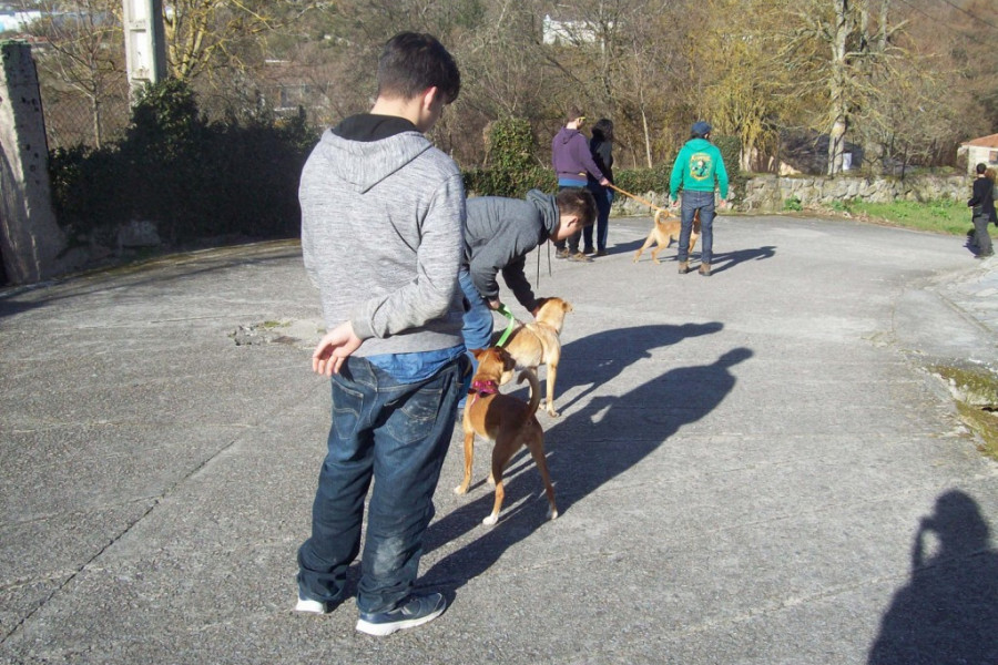 Los jóvenes atendidos en el centro ‘Montefiz’ de Ourense completan el Programa de Terapia Asistida con Animales. Fundación Diagrama. Galicia 2018.