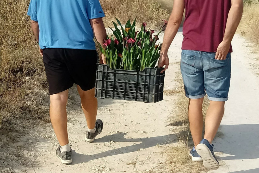 Los jóvenes atendidos en la residencia ‘La Villa’ de Villena (Alicante) participan en las segundas jornadas de formación de FlorCare 