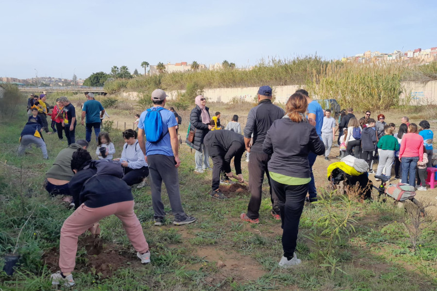 Menores del centro educativo ‘Ciudad de Melilla’ participan en la reforestación del río de Oro y la cantera del río Nano 