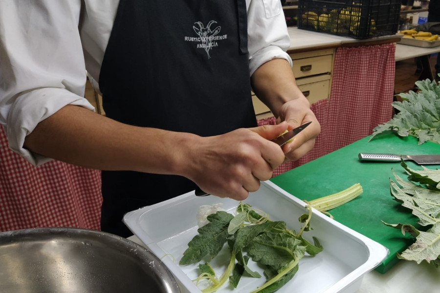 Un grupo de jóvenes atendidos en el Programa Labora de Málaga inician un curso profesional de cocina