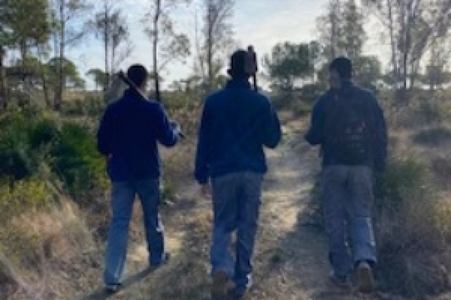 Un grupo de menores atendidos en el centro ‘Odiel’ de Huelva colaboran en la reforestación de los pinares del municipio de Mazagón.