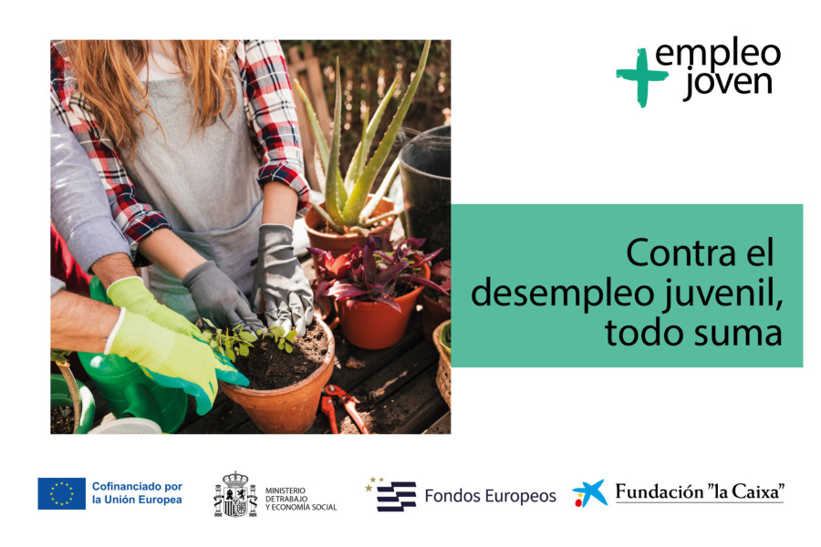 Proyecto Horizonte Joven de Fundación Diagrama