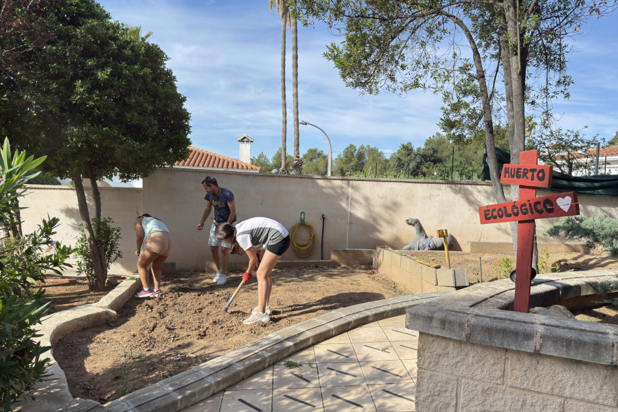 Huerto ecológico de la Residencia de Acogida 'La Pobla'