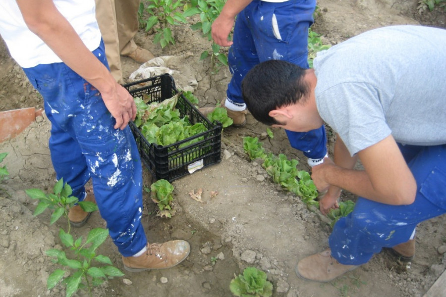 Los menores del centro ‘San Miguel’ participan en una Jornada de Asesoramiento de Huerto Ecológico organizada por el Ayuntamiento de Granada