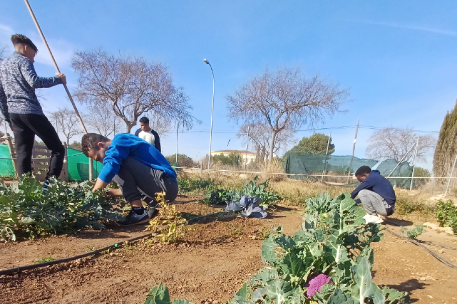 Jóvenes del hogar de acogida ‘Manuela Solís Clarás’ aprenden a realizar labores de horticultura en un huerto urbano de Vinarós