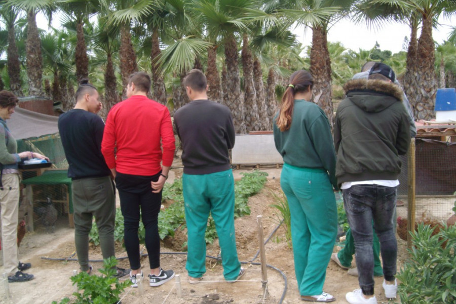 Jóvenes del centro ‘Els Reiets’ visitan el Huerto Social Alicante para formase en agricultura ecológica