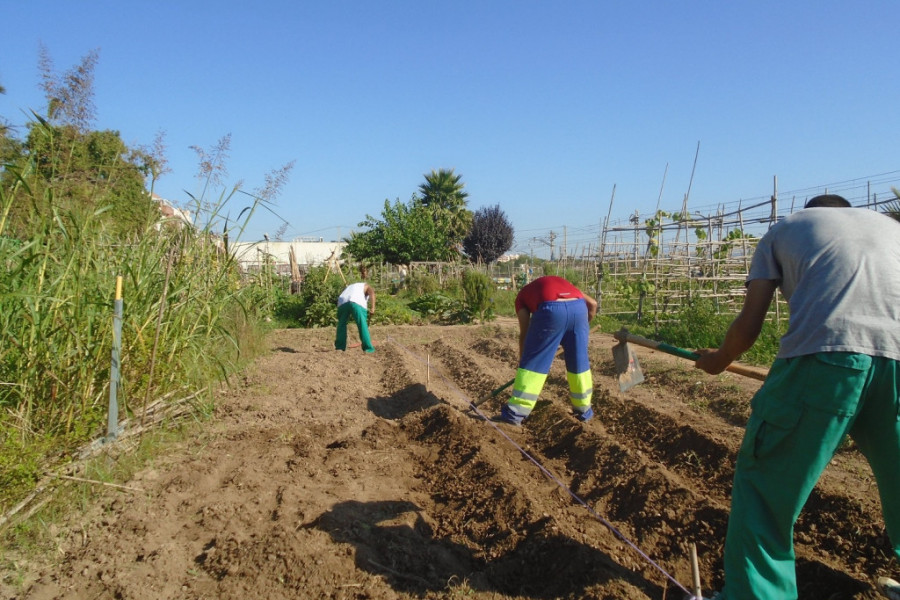 Los jóvenes atendidos en la residencia ‘Pi i Margall’ de Burjassot (Valencia) colaboran en la creación de un huerto social 