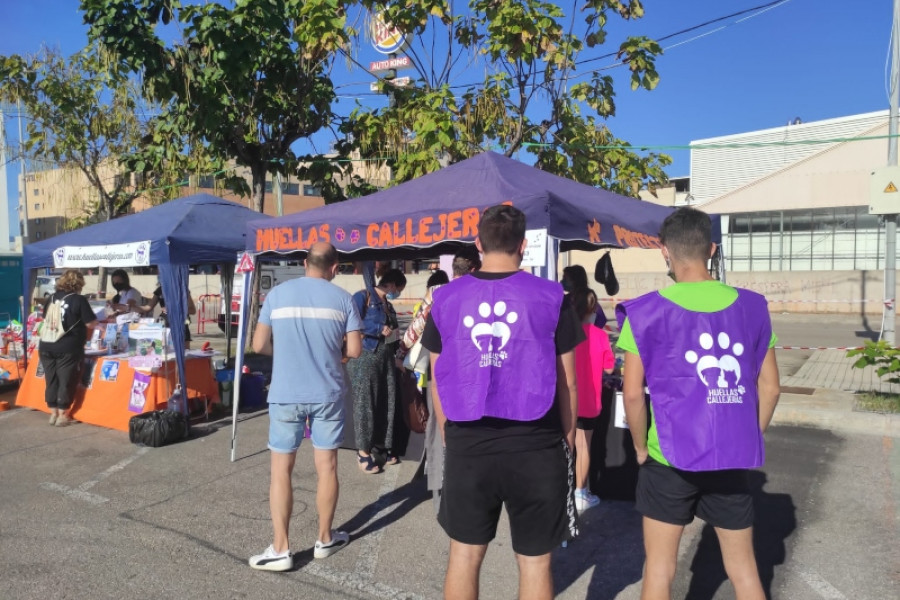 La II Feria de la Adopción Animal de Vila-real cuenta con la participación de jóvenes voluntarias y voluntarios atendidos en la Residencia ‘Pi Gros’ de Castellón
