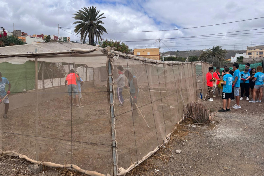 Menores del Hogar 'Tamarán' de Las Palmas de Gran Canaria rehabilitan el huerto del centro para uso formativo y comunitario
