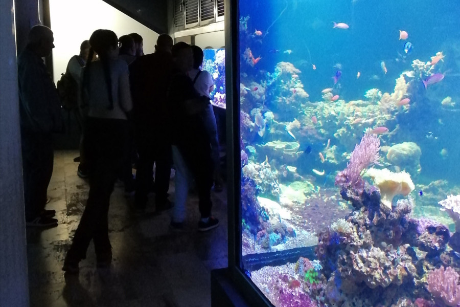 Personas atendidas en el centro de día ‘Heliotropos’ realizan una visita guiada al Acuario de la Universidad de Murcia