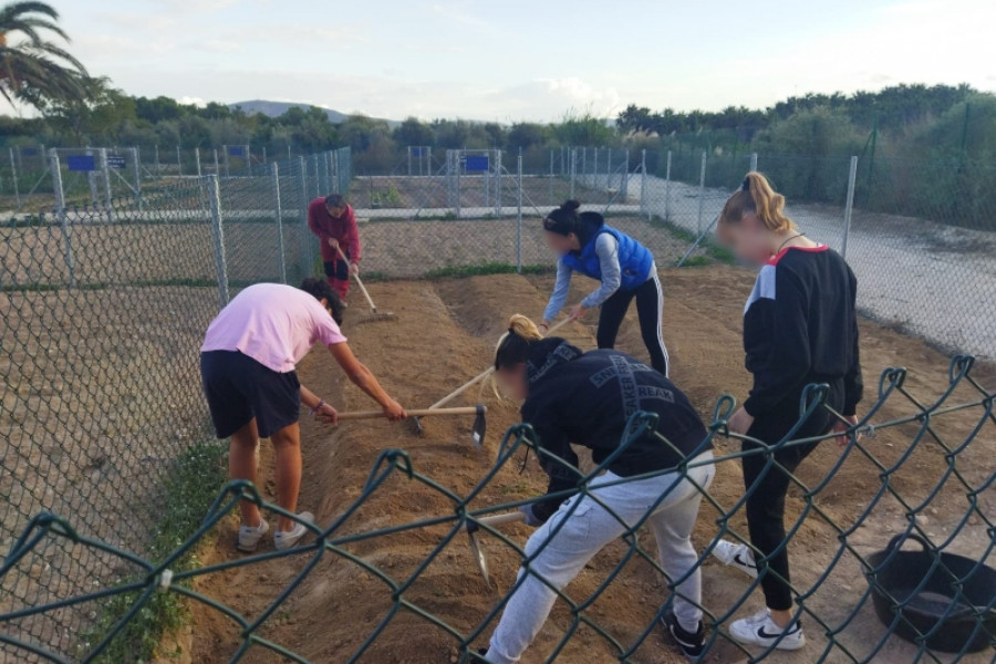 Las personas jóvenes atendidas en el Hogar ‘Oriola’ de Orihuela se suman al proyecto Huerto Urbano Ecológico