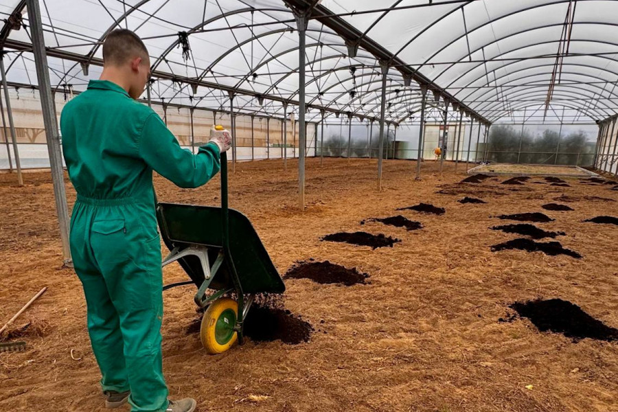 Certificado de Profesionalidad en Operaciones básicas en instalación de jardines, parques y zonas verdes 