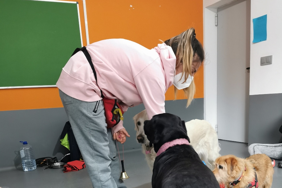 La iniciativa ‘Animalando Socioeducativo – Educando emociones’ cuenta con la participación de menores de los centros ‘Montefiz’ y ‘Monteledo’ de Ourense