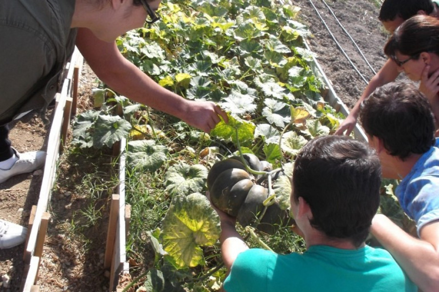 Menores del centro ‘Las Lagunillas’ de Jaén finalizan sendos cursos de empleabilidad y agricultura ecológica subvencionados por la Obra Social La Caixa