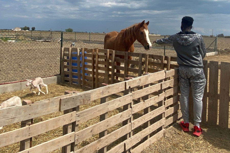 Un joven del Servicio de Primera Acogida ‘Encanyissada I’ de Sant Jaume d’Enveja (Tarragona) participa en la creación de un centro ecuestre