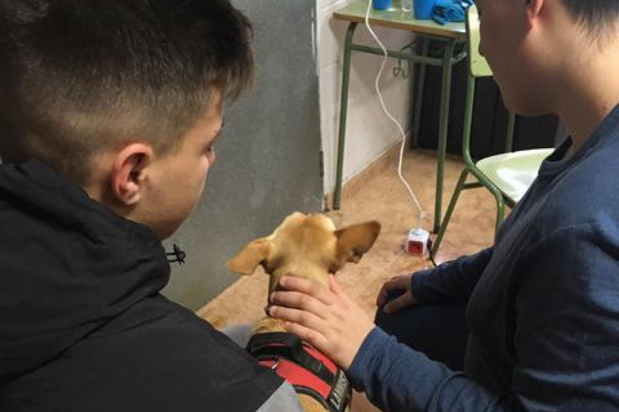 Los jóvenes atendidos en el centro de acogida ‘Anassim’ asisten a una charla sobre la importancia del cuidado de los animales. Fundación Diagrama. Comunidad Valenciana 2019. 