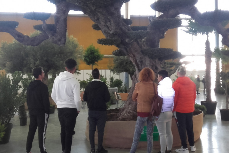 Los jóvenes atendidos en el centro ‘Els Reiets’ de Alicante visitan el 17º Salón de la Planta Ornamental y Afines Viveralia 2020. Fundación Diagrama. Comunidad Valenciana 2020. 