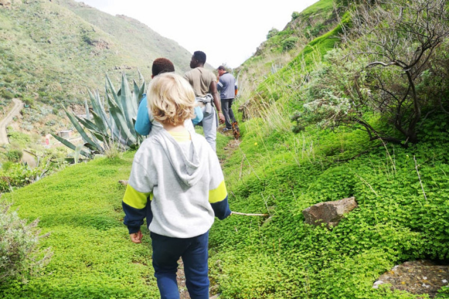 Los jóvenes atendidos en el centro ‘Jiribilla’ de Valsequillo (Gran Canaria) conocen el trabajo agrícola y ganadera que se desarrolla en el municipio. Fundación Diagrama 2020. 