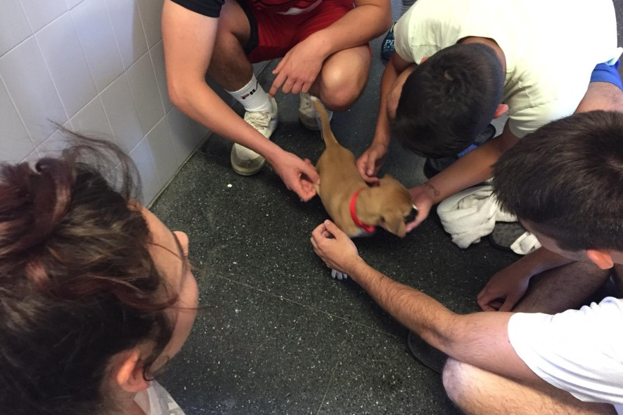 Los jóvenes atendidos en el centro ‘Monteledo’ de Ourense participan en una actividad terapéutica con animales. Fundación Diagrama. Galicia 2020. 