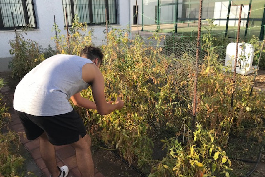 Jóvenes atendidos en el centro ‘Odiel’ (Huelva) colaboran en diversas labores de mantenimiento del recurso. Fundación Diagrama. Andalucía 2020.